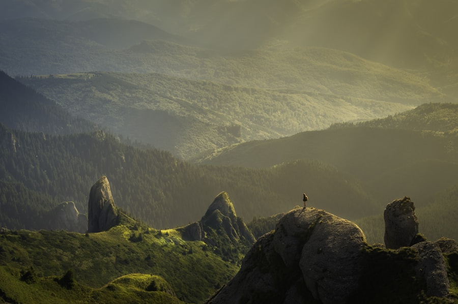 Voyageur face à une vallée